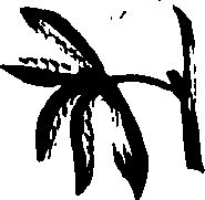 099/099320011300980_0.png