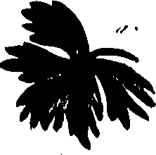 099/099320011300990_0.png