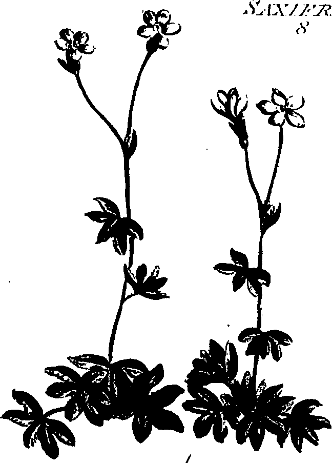 099/099320011300990_1.png