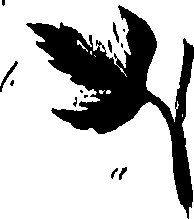 099/099320011301000_0.png