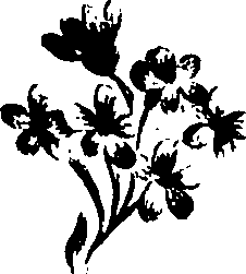 099/099320011301000_1.png