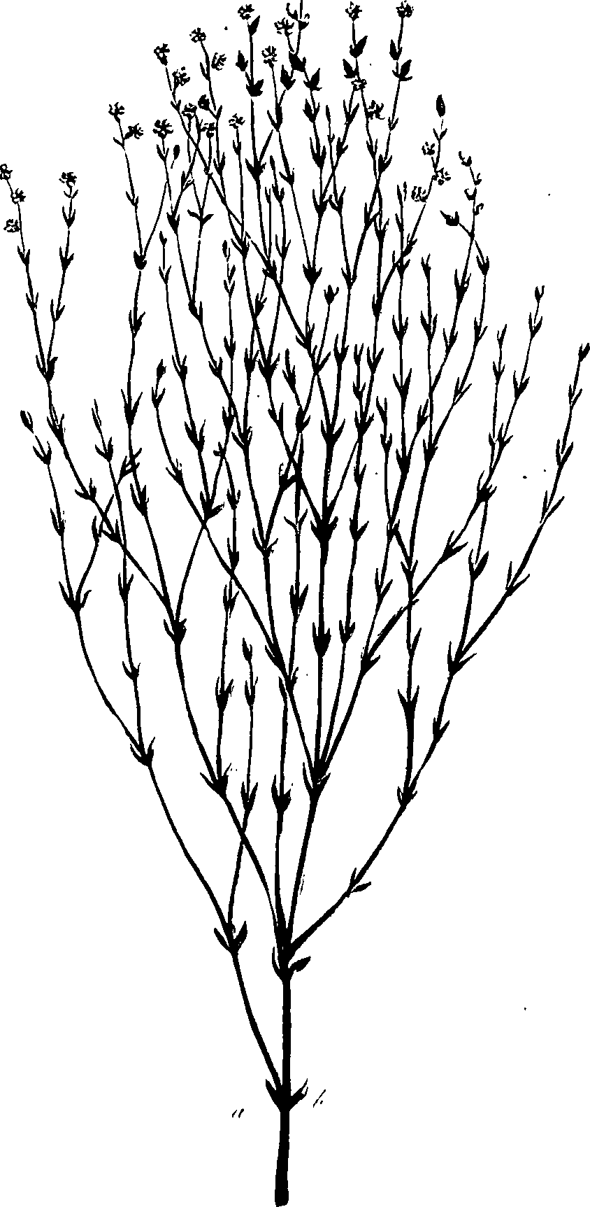 099/099320011301020_0.png