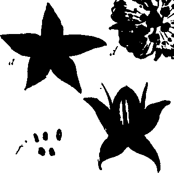 099/099320011301030_0.png