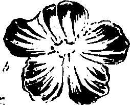 099/099320011301030_1.png