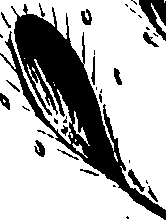 099/099320011301040_0.png