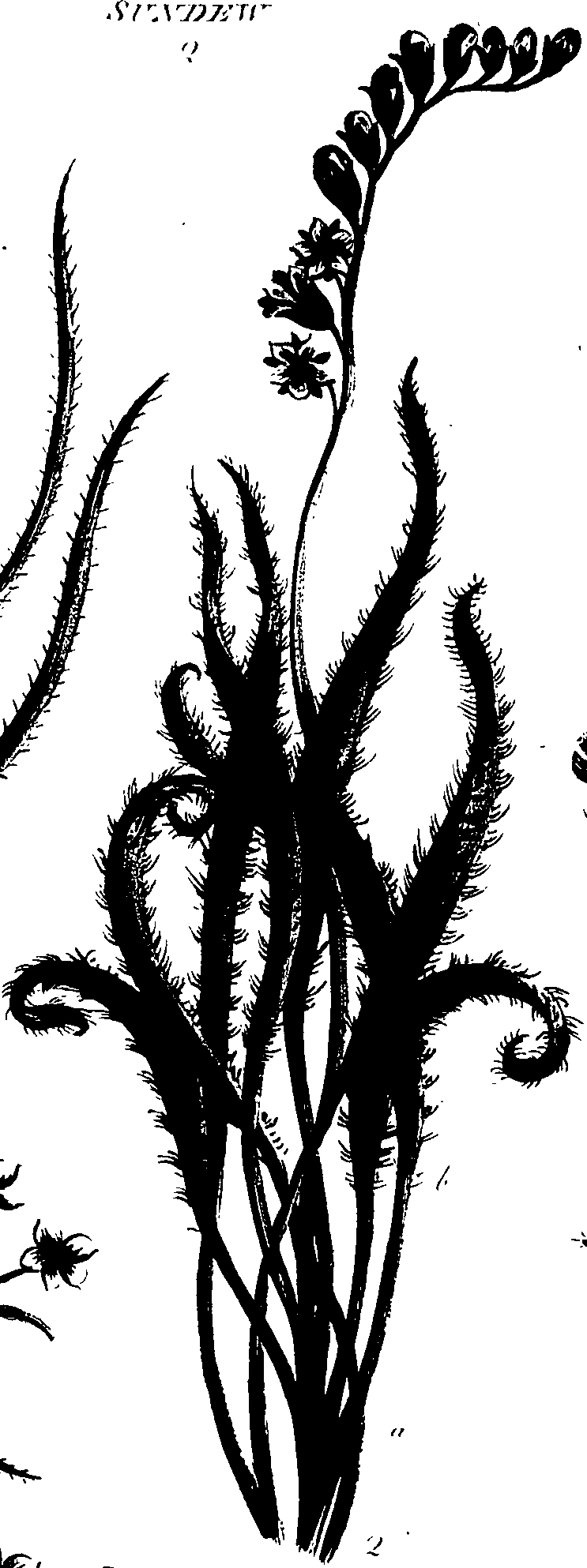 099/099320011301050_1.png