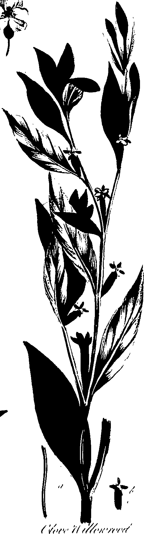 099/099320011301070_0.png