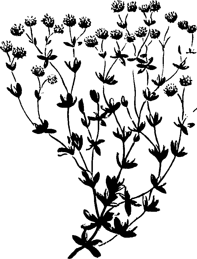099/099320011301080_0.png