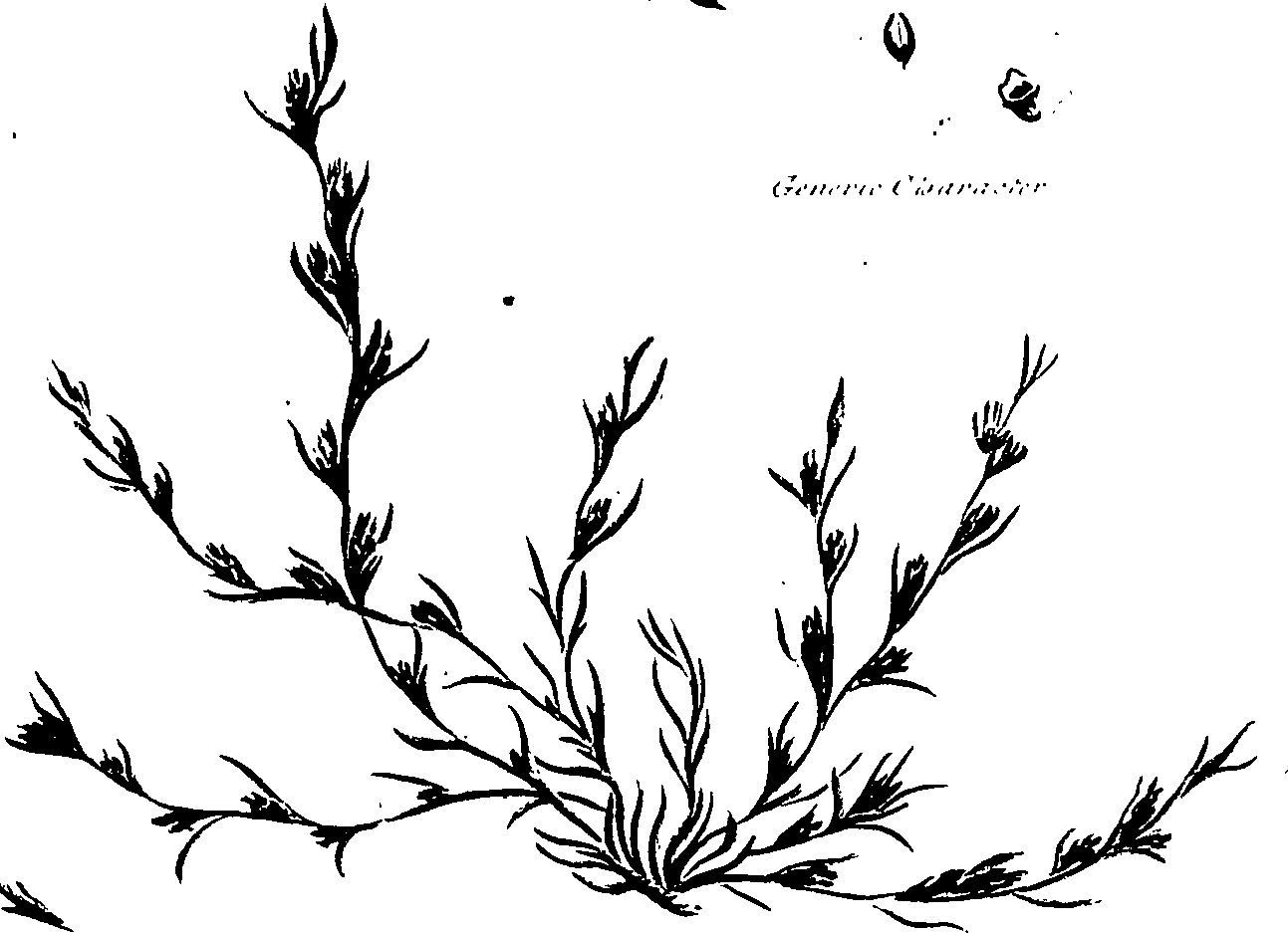 099/099320011301080_1.png