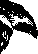 099/099320011301090_0.png