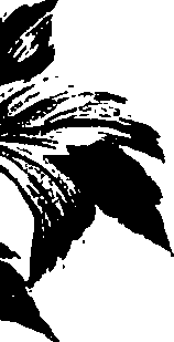 099/099320011301090_1.png