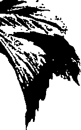 099/099320011301090_2.png