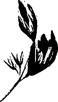 099/099320011301090_3.png