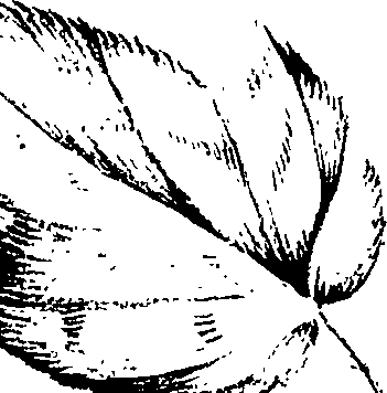 099/099320011301140_1.png