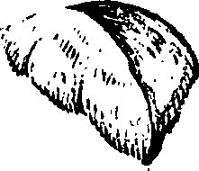 099/099320011301140_2.png
