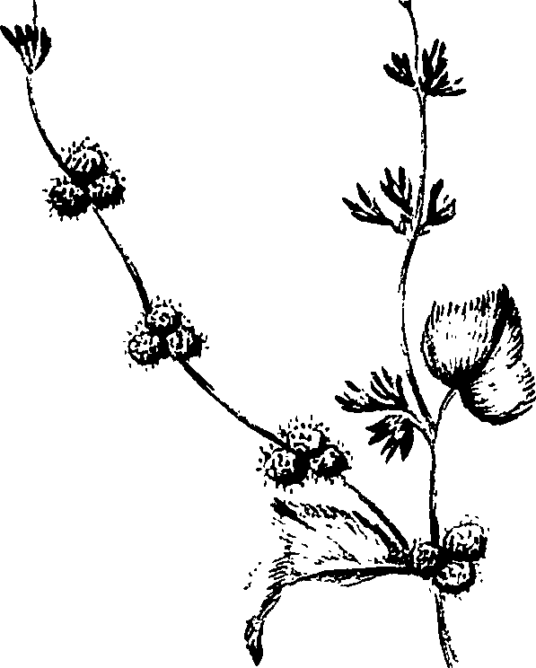 099/099320011301140_3.png