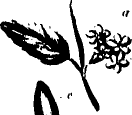 099/099320011301150_0.png