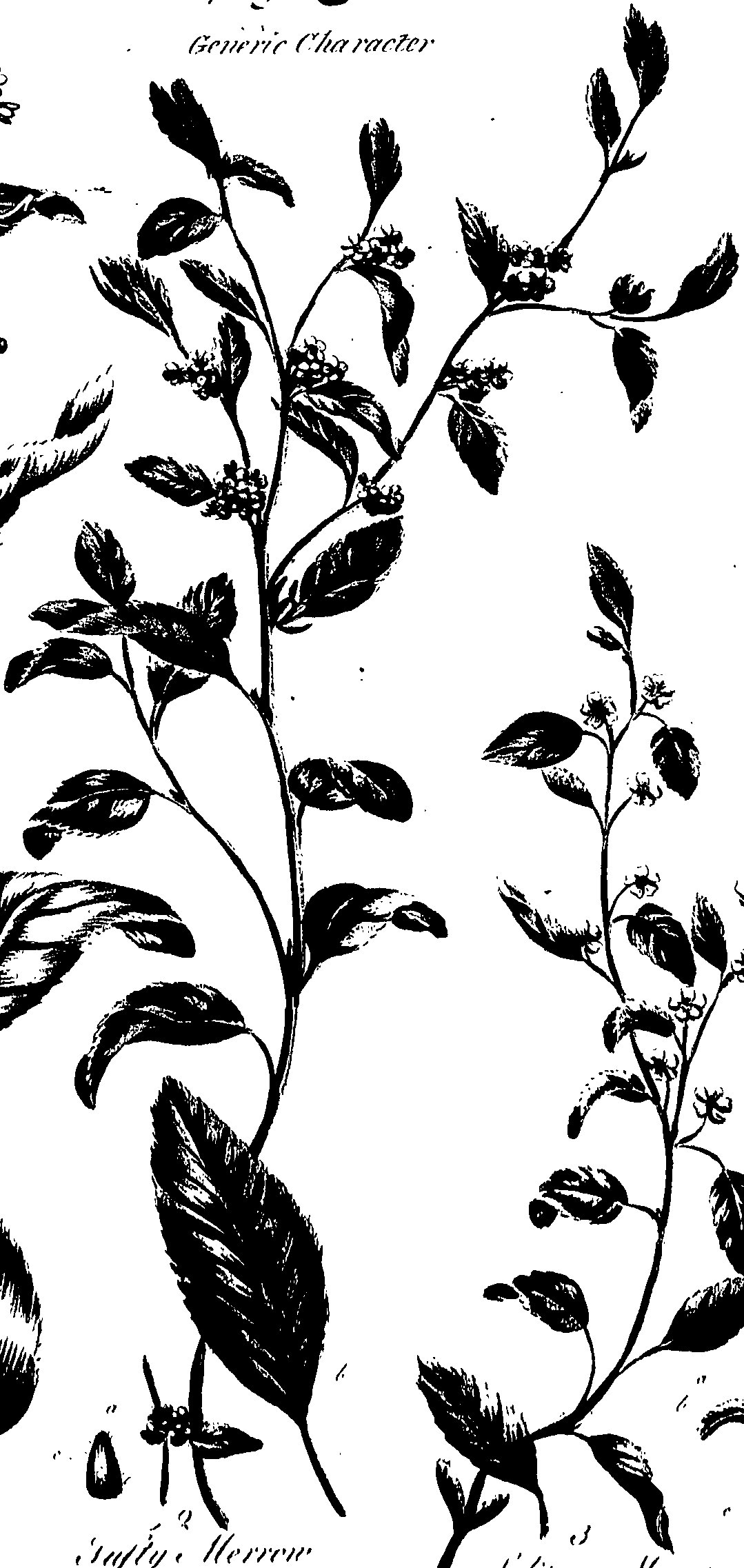 099/099320011301150_1.png
