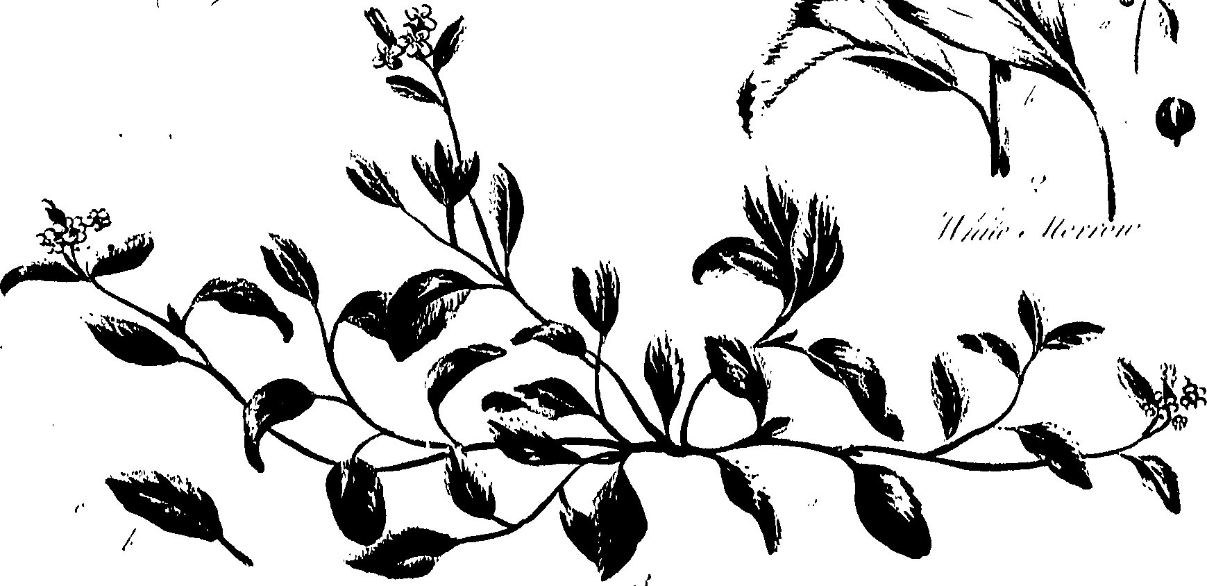 099/099320011301160_0.png