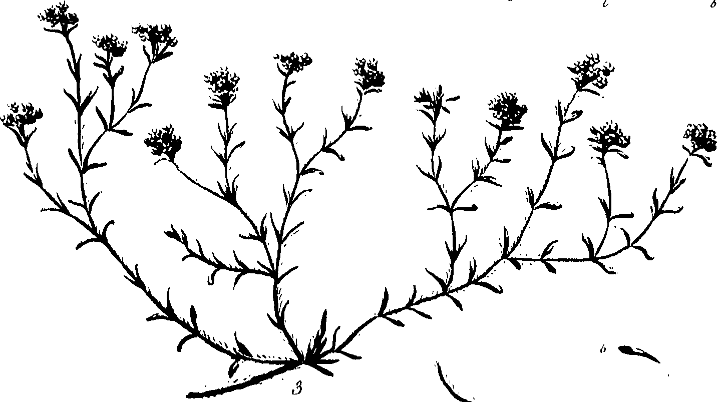 099/099320011301170_0.png