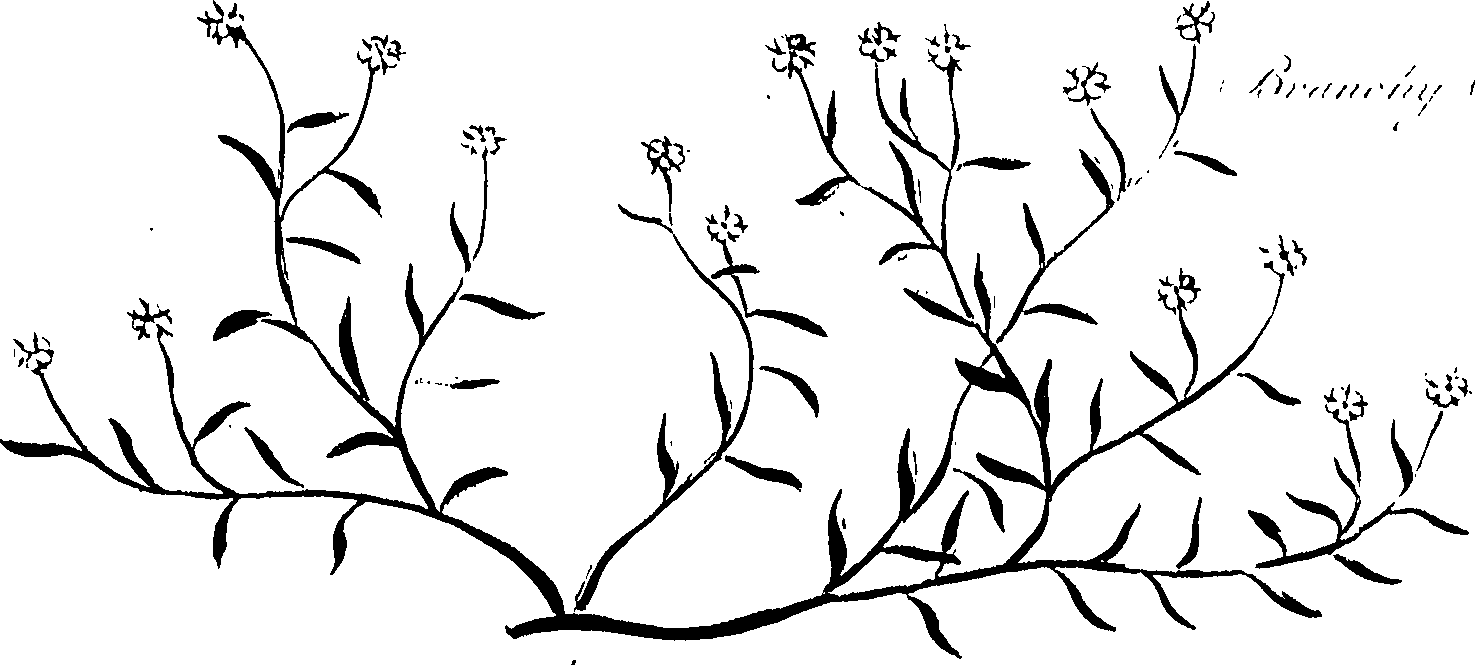 099/099320011301180_0.png