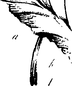 099/099320011301230_0.png