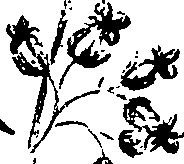 099/099320011301230_1.png