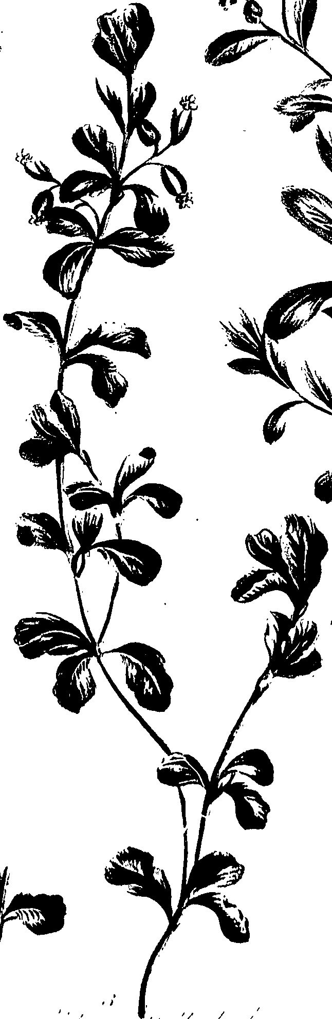 099/099320011301240_1.png