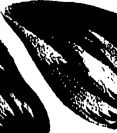 099/099320011301260_1.png