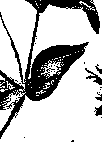 099/099320011301270_1.png
