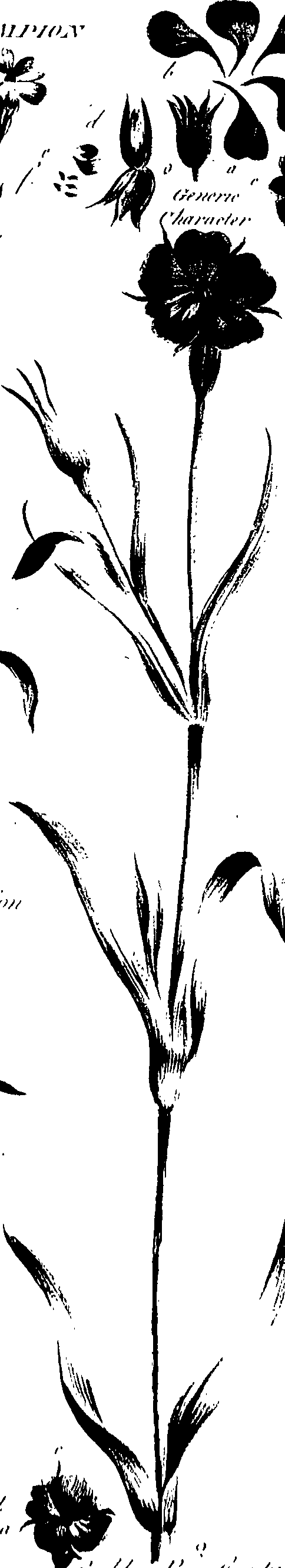 099/099320011301280_0.png