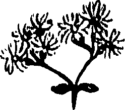 099/099320011301300_0.png