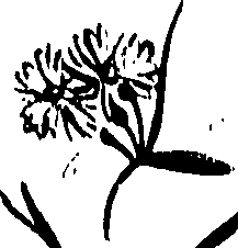 099/099320011301300_1.png