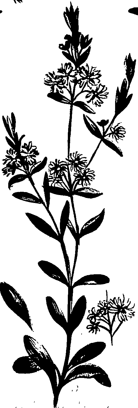 099/099320011301300_2.png