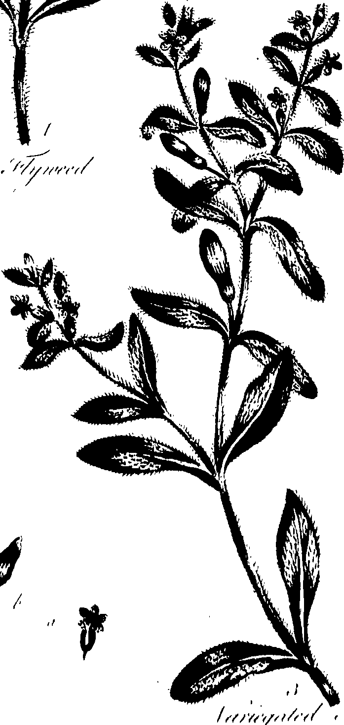 099/099320011301320_0.png