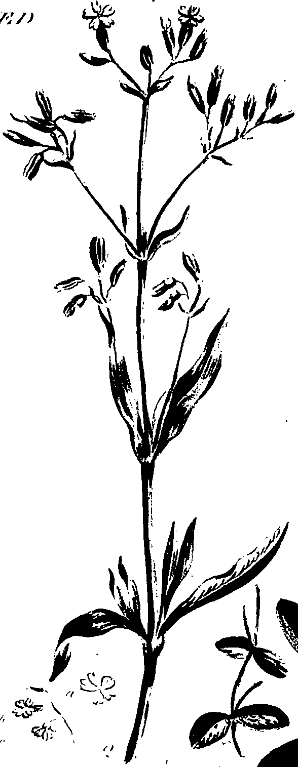 099/099320011301340_0.png