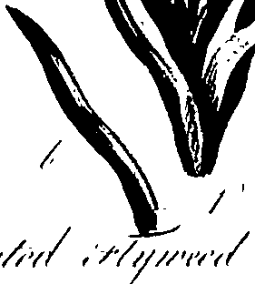 099/099320011301360_0.png