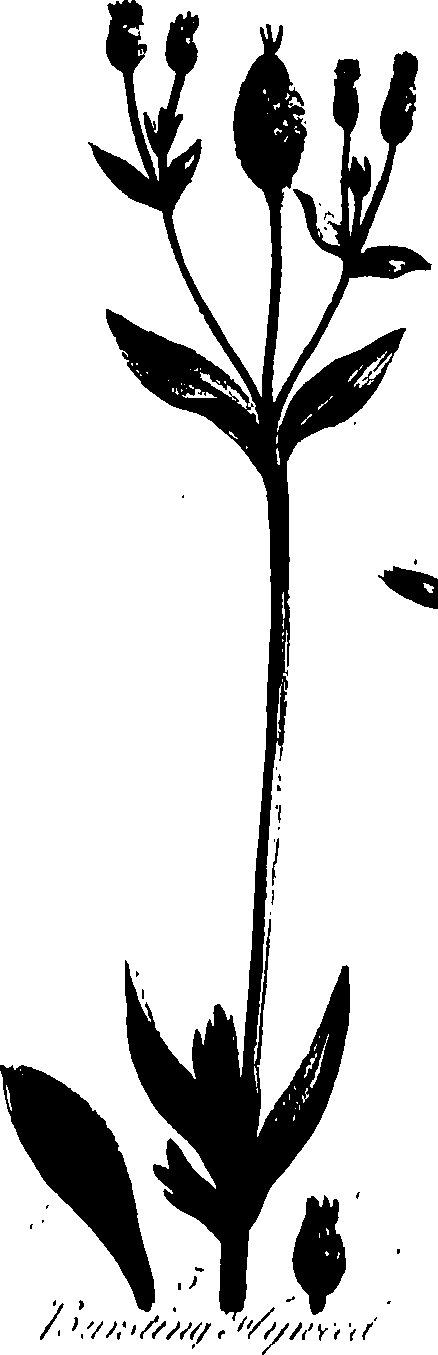 099/099320011301370_0.png