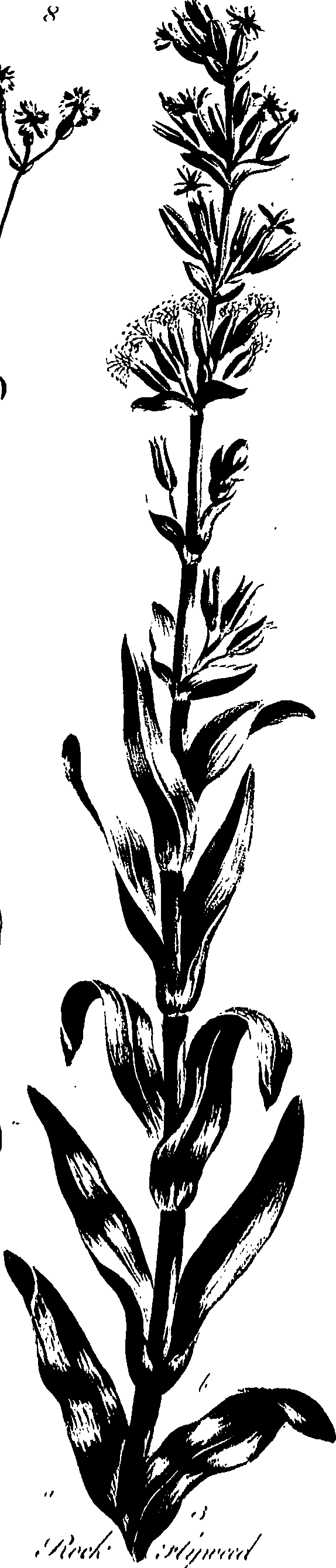 099/099320011301390_0.png