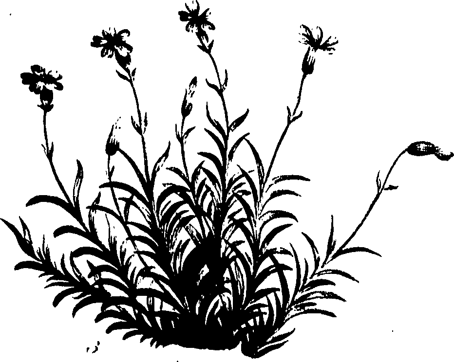 099/099320011301400_0.png