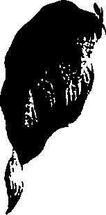 099/099320011400730_0.png