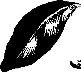 099/099320011400740_0.png