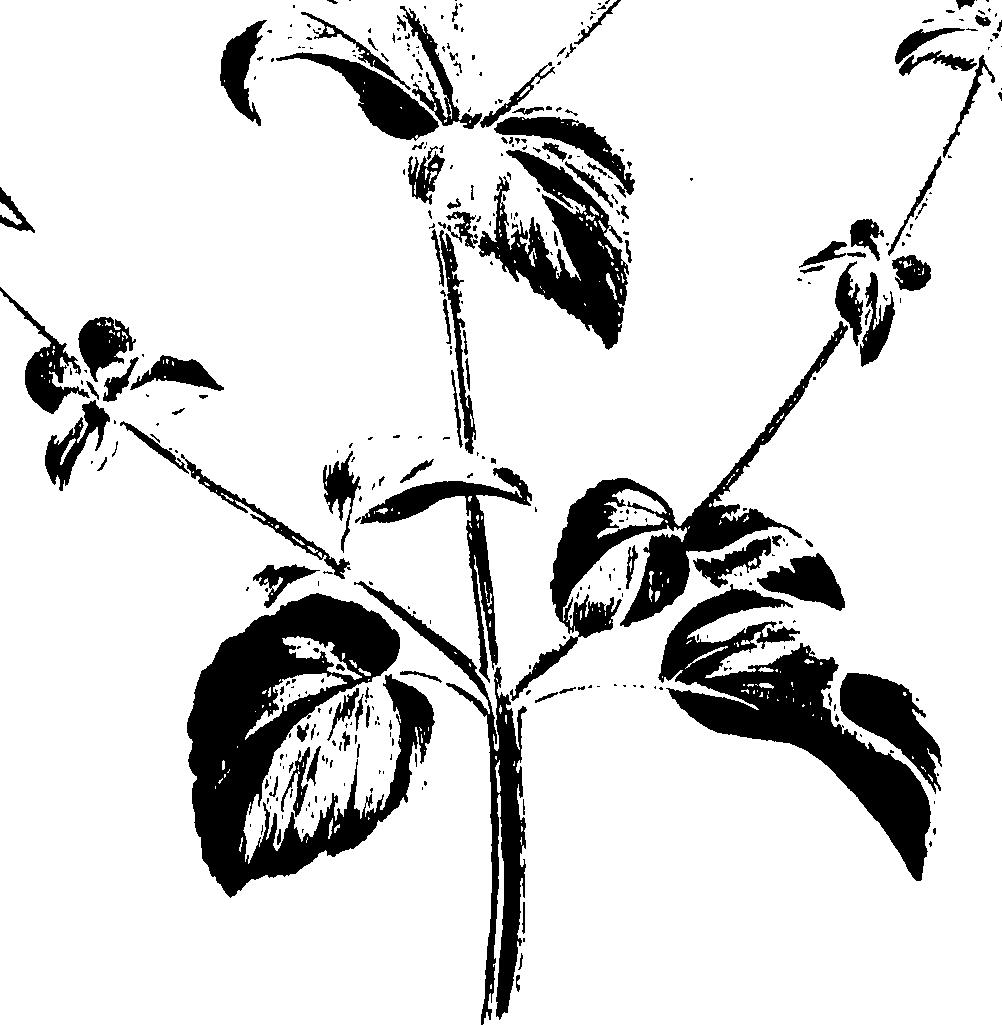 099/099320011400760_0.png