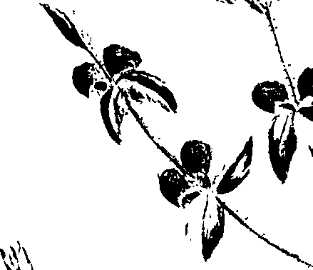 099/099320011400760_1.png