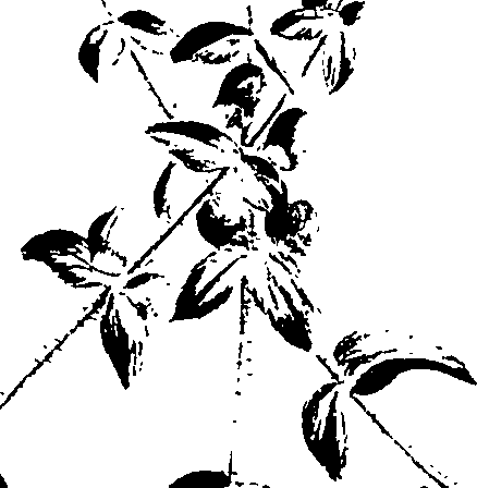 099/099320011400760_2.png