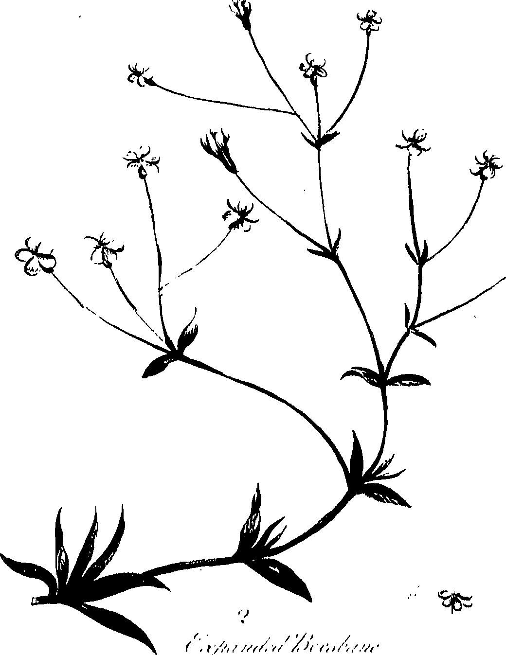 099/099320011400770_0.png