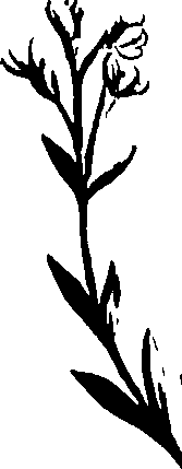 099/099320011400780_0.png