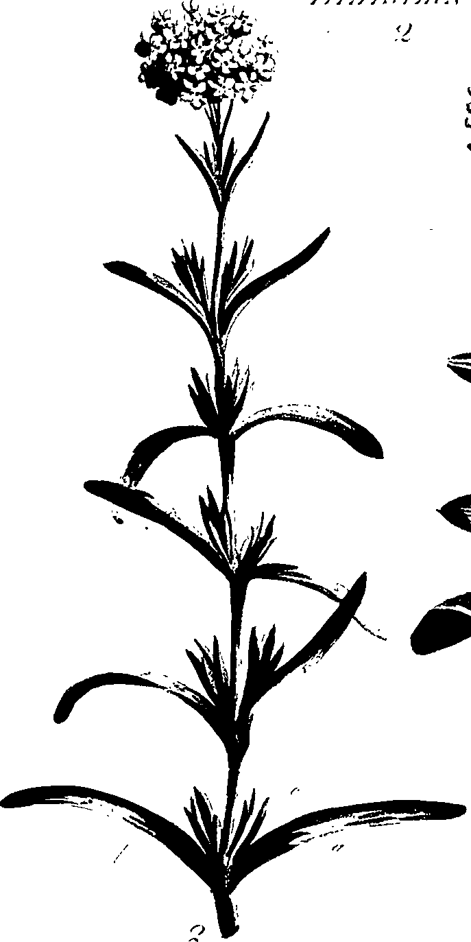 099/099320011400780_1.png