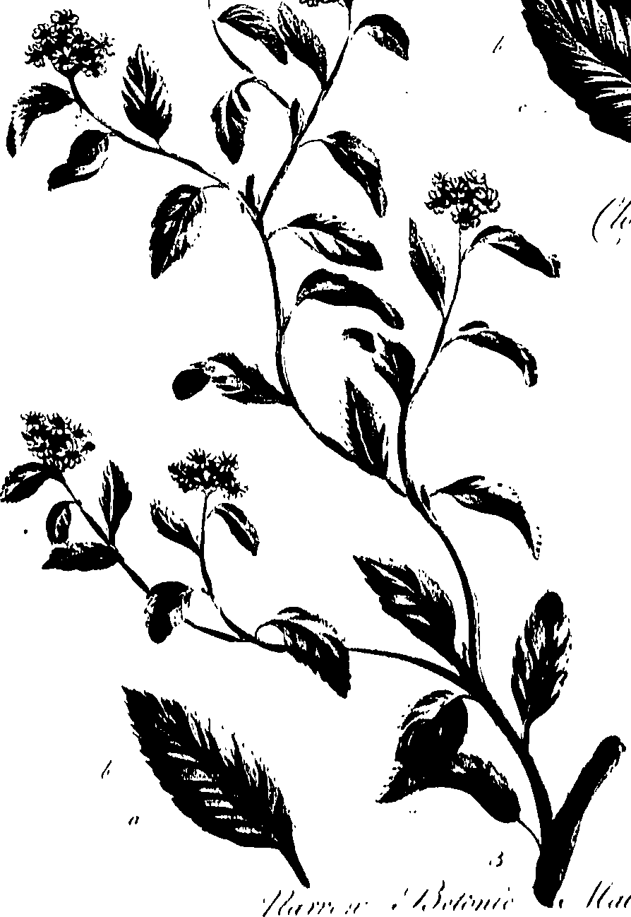 099/099320011400810_0.png