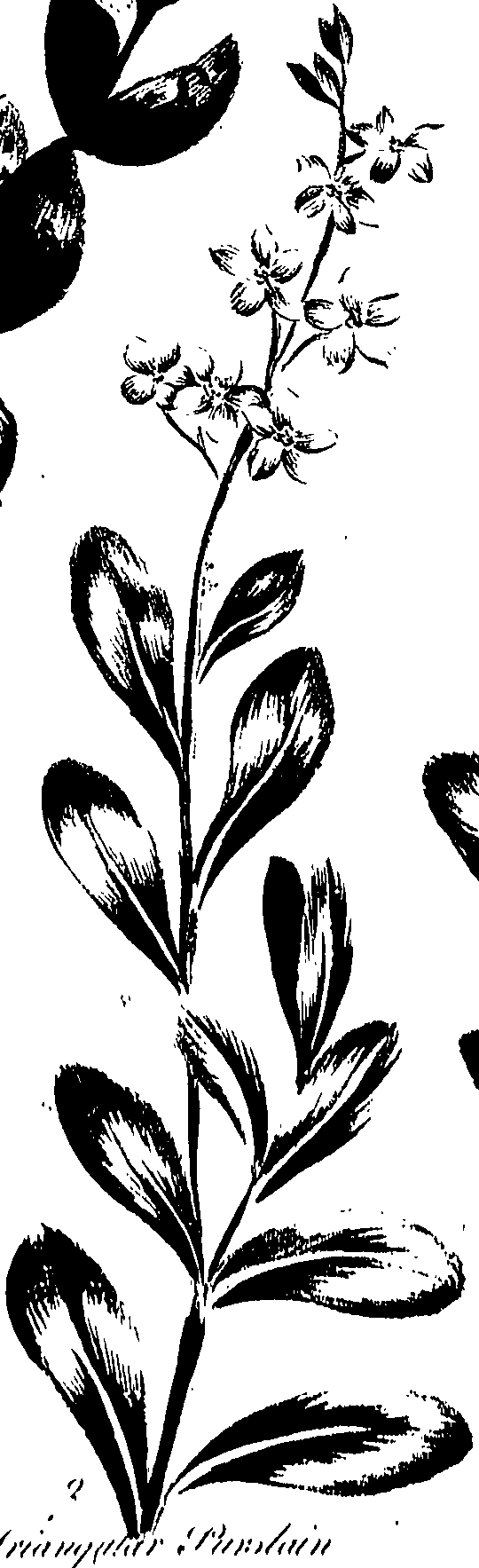 099/099320011400840_0.png